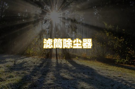 滤筒除尘器